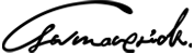 gwmaverick